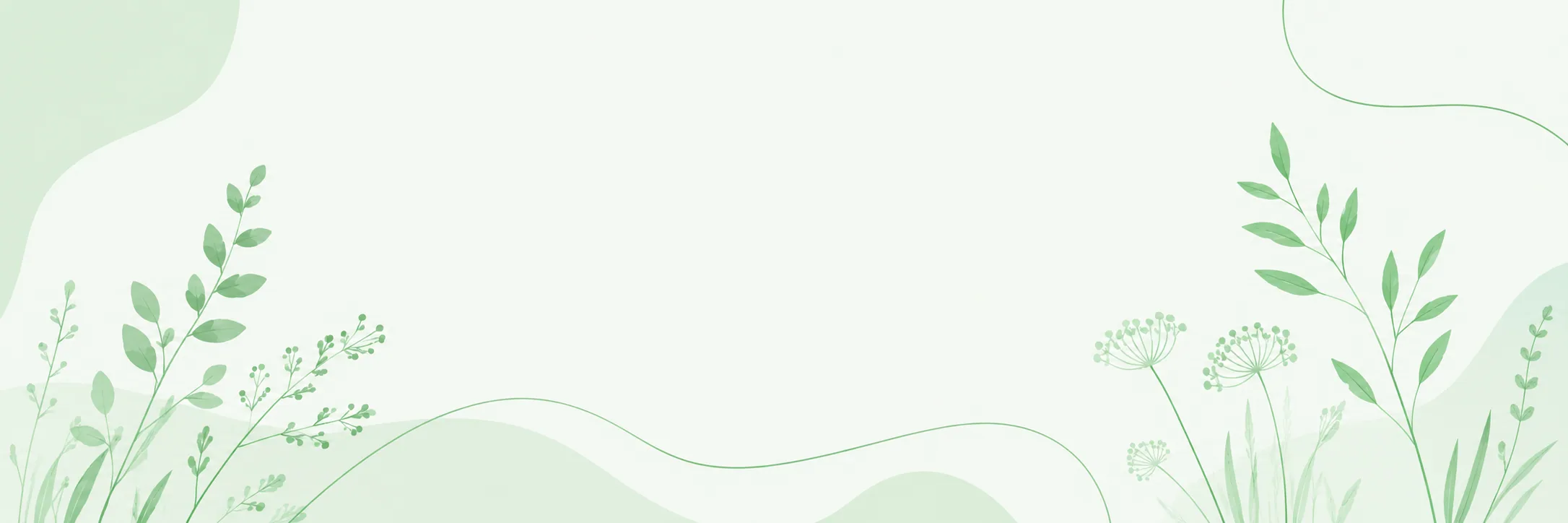creative_banner_green.webp